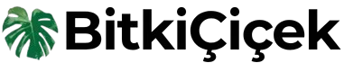 logos-2-e1774783520333.png